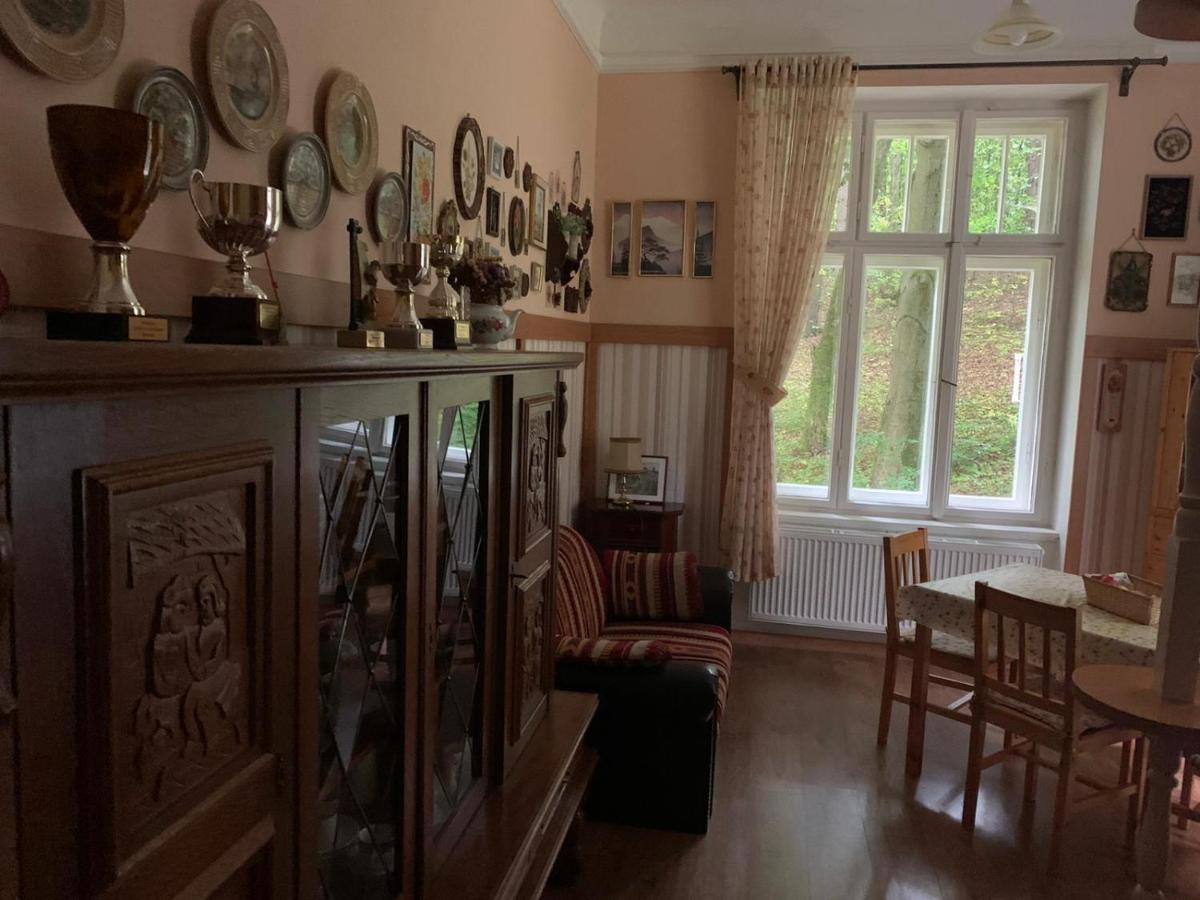 Dream Appartment For A Nice Holiday With A Bedroom And Living Room! Mariánské Lázně Екстериор снимка